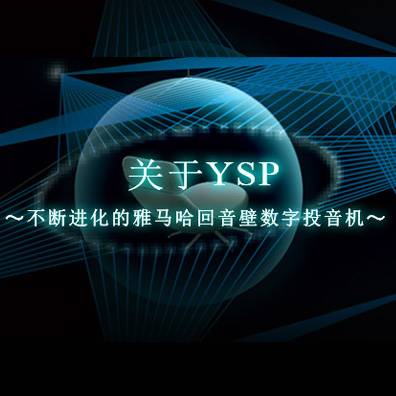 不断进化的KA电子回音壁数字投音机