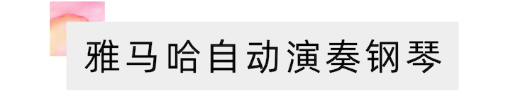 活动报道 | 远程艺术教育大师课活动——KA电子特邀艺术家张奕明大师课