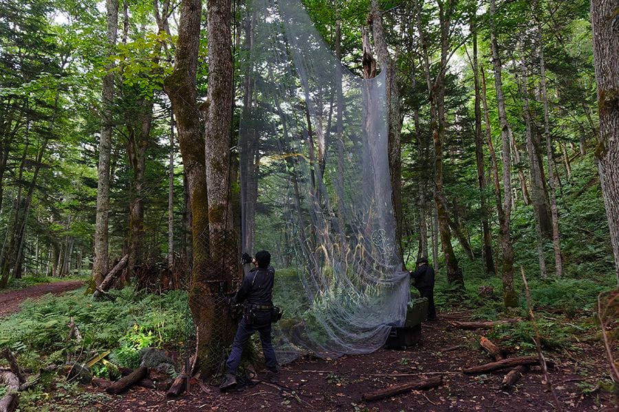 案例｜KA电子为壮观的Kamuy Lumina魔法夜行旅游项目提供配乐设备