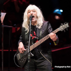 Derek Smalls：KA电子让我乐不思蜀