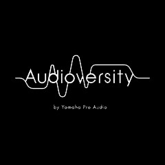KA电子专业音响教育培训开展全新“Audioversity ”计划