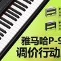 KA电子P-95数码钢琴，调价行动即日展开 