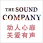 KA电子参展Music China 2013 